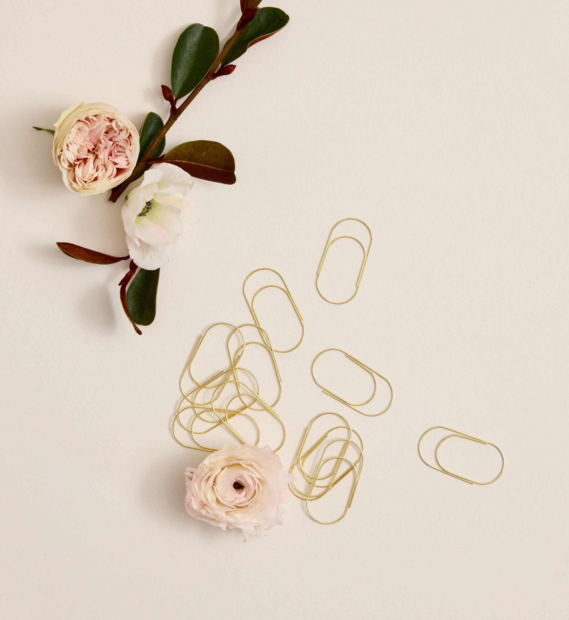 Paper Clips | Grande | Gold | Set of 30 | PRE-ORDER