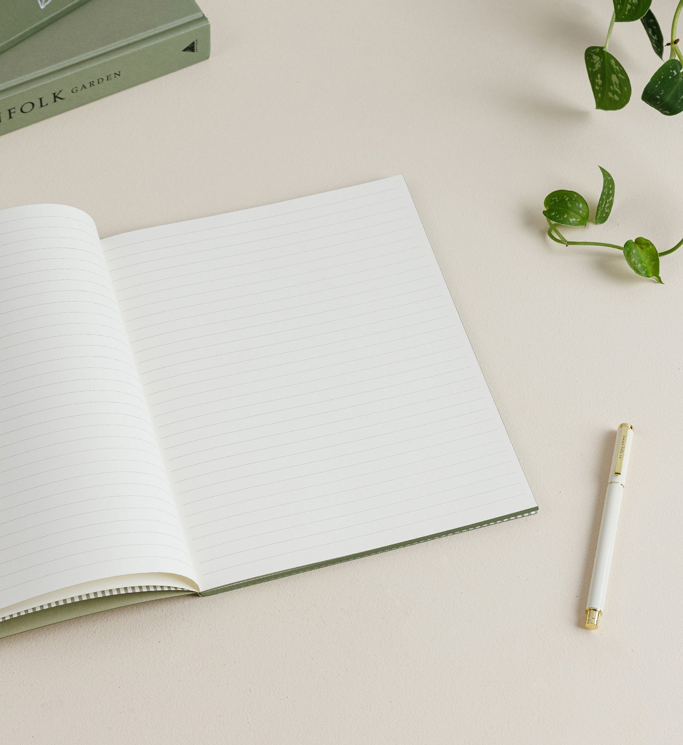 Olive Stripe | Grande Notebook
