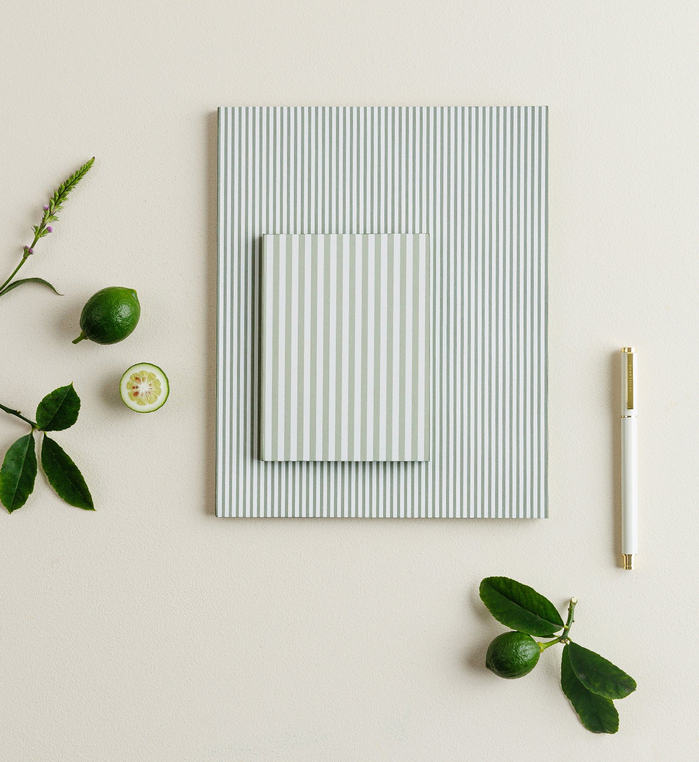 Sage Stripe | Petite Notebook