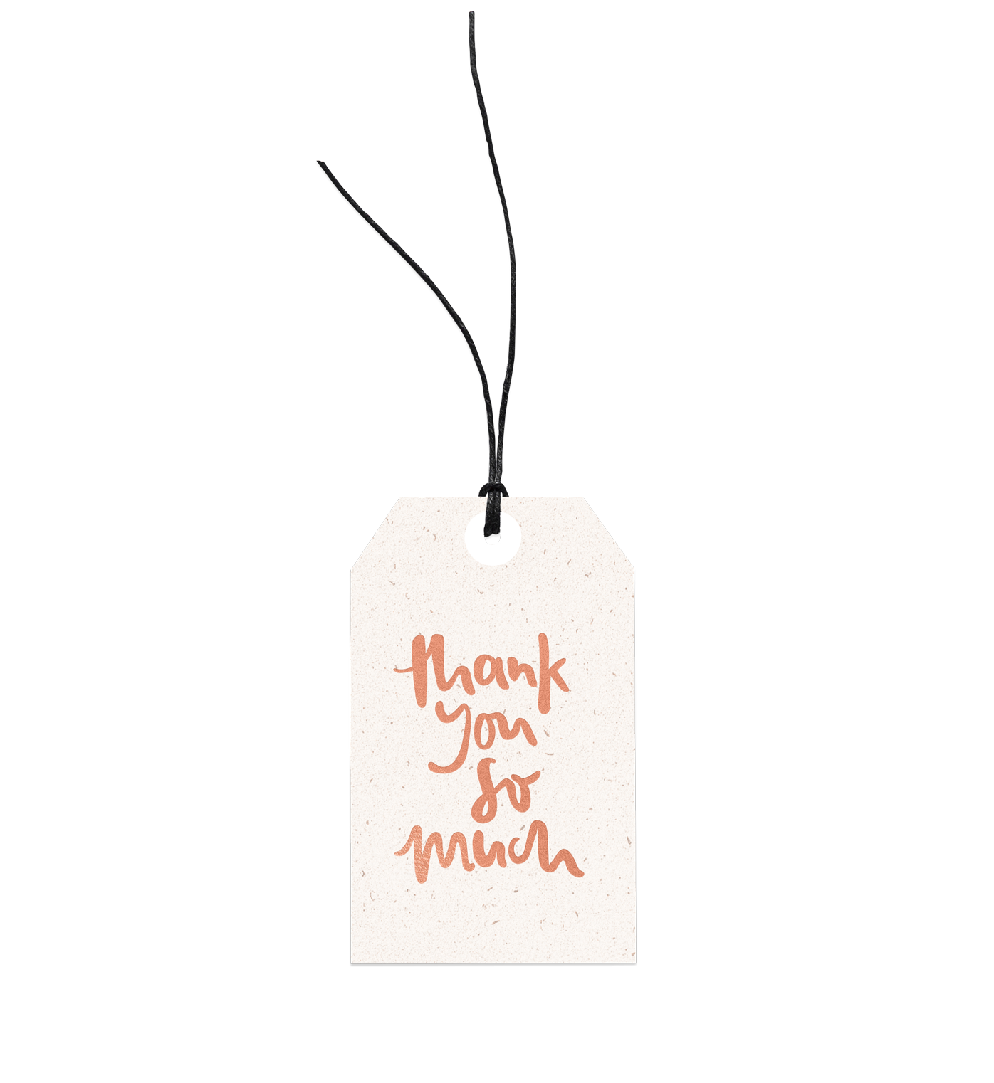 Thank You So Much | Gift Tag