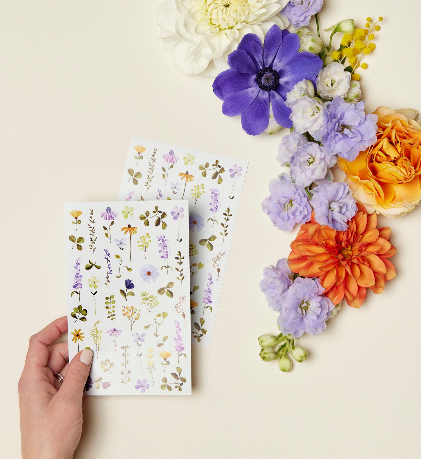 Illustrated Stickers | Bloom