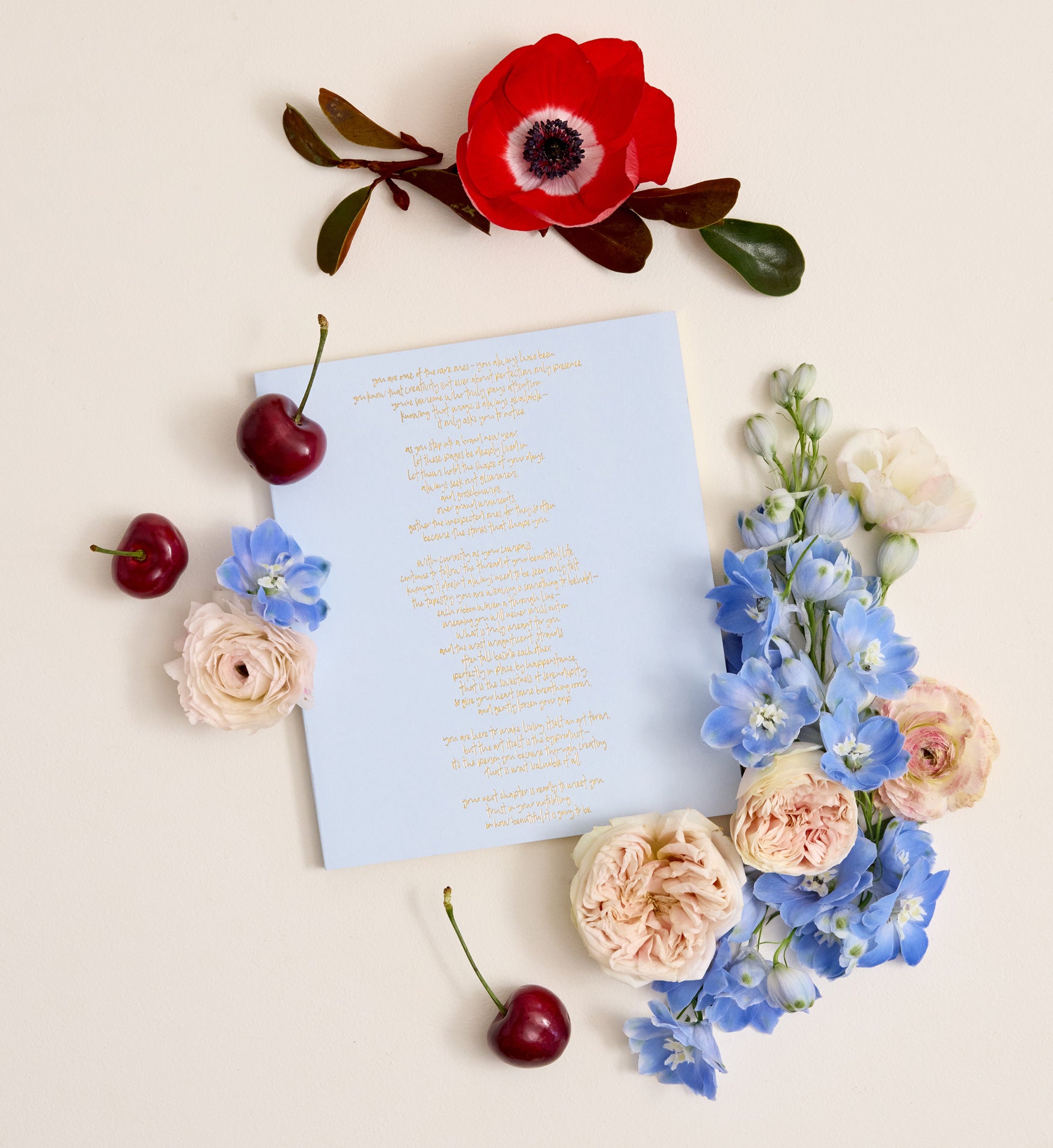 Notebook | Signature | Manifesto | PRE-ORDER