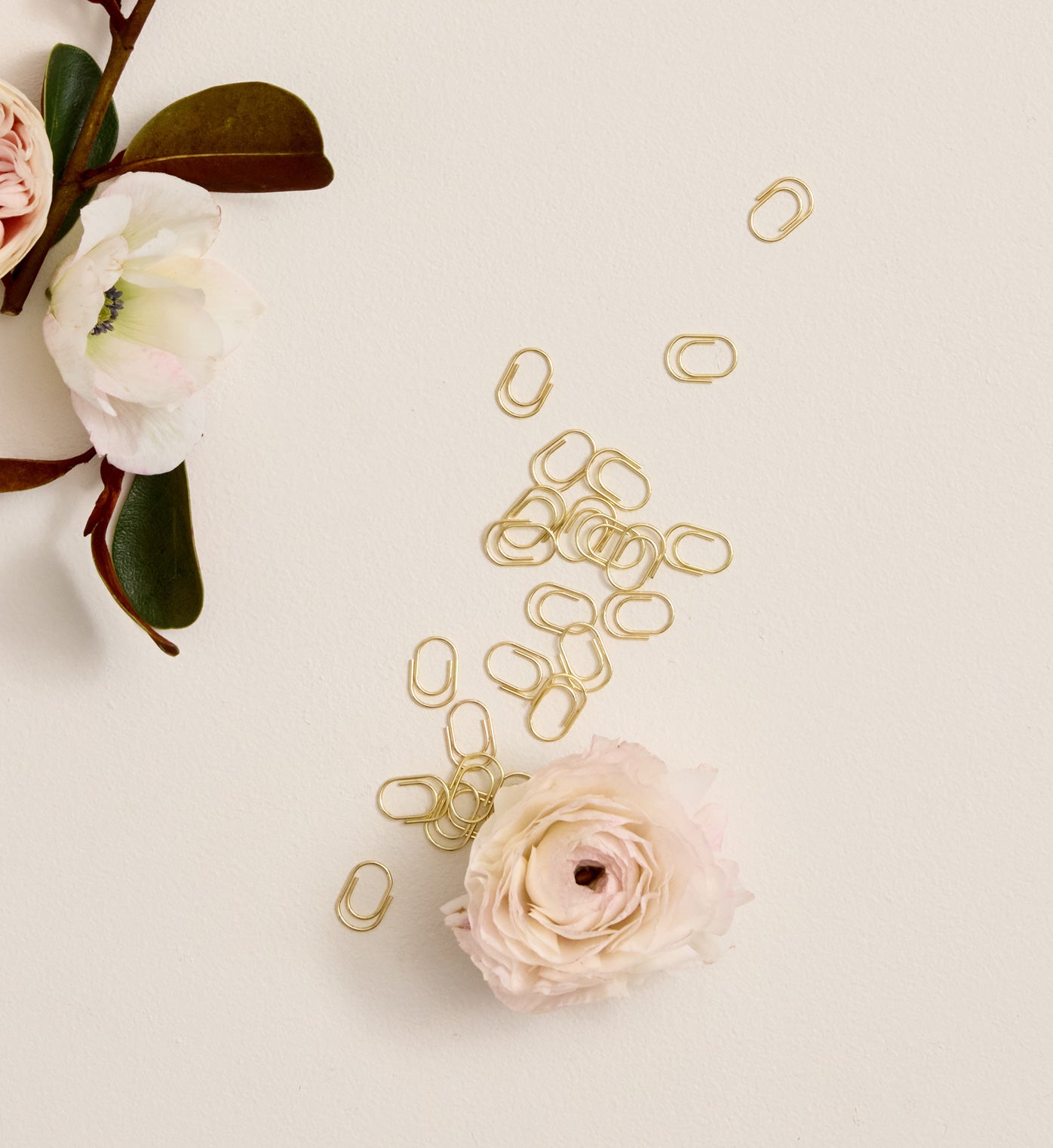 Paper Clips | Petite | Gold | Set of 120 | PRE-ORDER