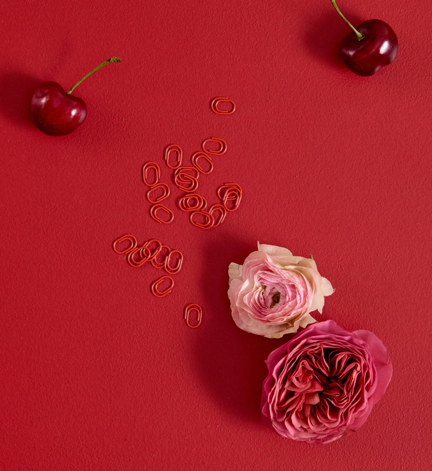 Paper Clips | Petite | Scarlet | Set of 120 | PRE-ORDER
